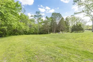 13 Janice Rd, Farmington, MO 63640 - Photo 39