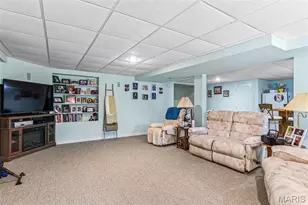 13 Janice Rd, Farmington, MO 63640 - Photo 29
