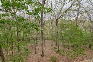 1275 Diamond Valley Dr, High Ridge, MO 63049 - Photo 57