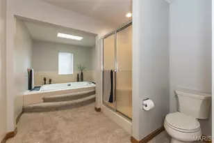78 Lower Dardenne Farms Dr, Cottleville, MO 63304 - Photo 31