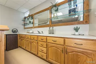 78 Lower Dardenne Farms Dr, Cottleville, MO 63304 - Photo 43