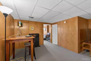 3131 Ohio Ave, Saint Louis, MO 63118 - Photo 31
