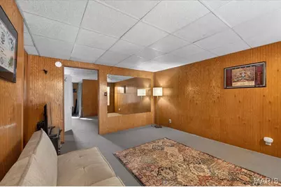 3131 Ohio Avenue, Saint Louis, MO 63118 - Photo 37