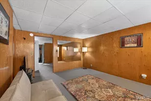 3131 Ohio Ave, Saint Louis, MO 63118 - Photo 37