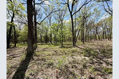15 Legacy Drive, Potosi, MO 63664 - Photo 19