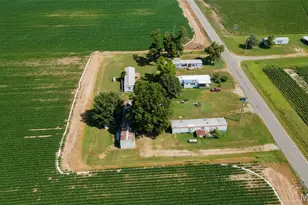 29481 State Hwy B, Holcomb, MO 63852 - Photo 7