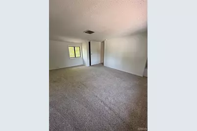 701 Forster Street, Farmington, MO 63640 - Photo 19