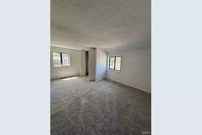 701 Forster Street, Farmington, MO 63640 - Photo 17