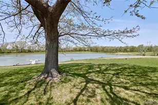 196 Absolut Ln, Troy, MO 63379 - Photo 51