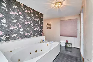 196 Absolut Ln, Troy, MO 63379 - Photo 29