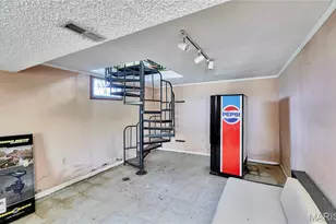 196 Absolut Ln, Troy, MO 63379 - Photo 35
