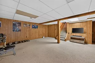 223 Trailtop Ct, Chesterfield, MO 63017 - Photo 49