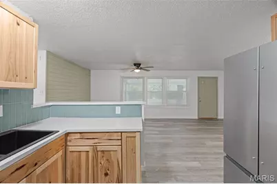 38 Westdell Drive, Saint Louis, MO 63136 - Photo 13