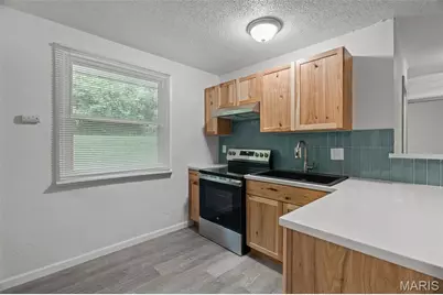 38 Westdell Drive, Saint Louis, MO 63136 - Photo 9