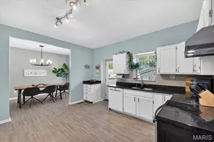 4161 Flad Ave, Saint Louis, MO 63110 - Photo 15