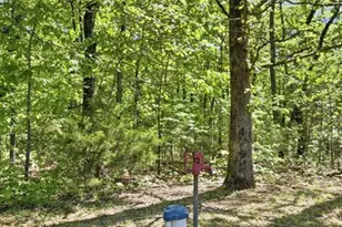 3556 Y Hwy, Valles Mines, MO 63087 - Photo 19