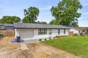 205 Columbia St, Bonne Terre, MO 63628 - Photo 7