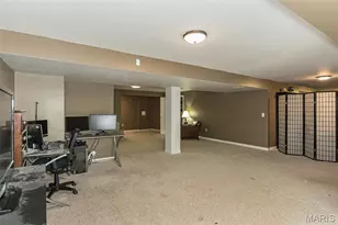 9508 Bent Tree Dr, Hillsboro, MO 63050 - Photo 37