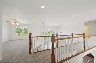 101 W Lakeview Dr, De Soto, MO 63020 - Photo 21