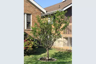3829 Burgen Avenue, Saint Louis, MO 63116 - Photo 29