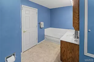 2001 Lee Dr, Cape Girardeau, MO 63701 - Photo 19