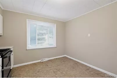 729 Dammert Avenue, Saint Louis, MO 63125 - Photo 1