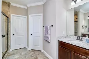103 Pomodora Cir, Wentzville, MO 63385 - Photo 45