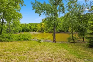 7686 Sunrise Dr, Hillsboro, MO 63050 - Photo 51