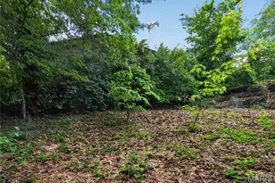 10247 Valley Dr, Saint Louis, MO 63137 - Photo 7