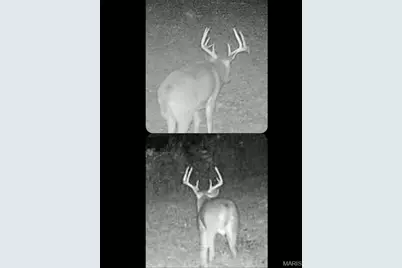4078 Highway 79, Louisiana, MO 63353 - Photo 79