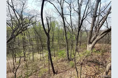 4078 Highway 79, Louisiana, MO 63353 - Photo 61