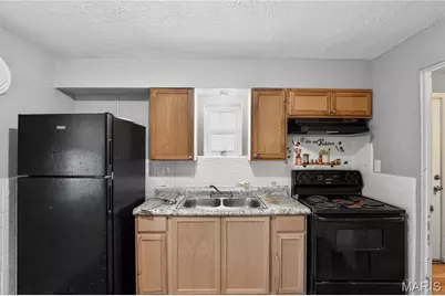 6839 Chamberlain Court, Saint Louis, MO 63130 - Photo 11