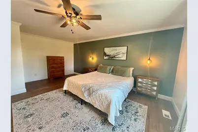 1305 W New Street, Palmyra, MO 63461 - Photo 17