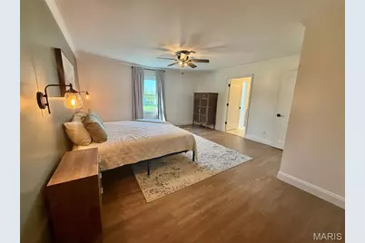 1305 W New Street, Palmyra, MO 63461 - Photo 19