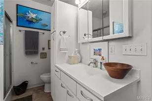 2218 Wyoming St, Saint Louis, MO 63118 - Photo 21