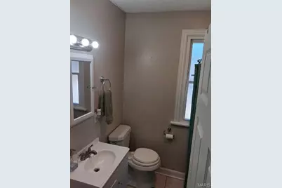 241 Dammert Avenue, Saint Louis, MO 63125 - Photo 9