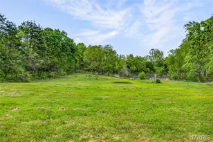11697 John Emling Rd, Bismarck, MO 63624 - Photo 11
