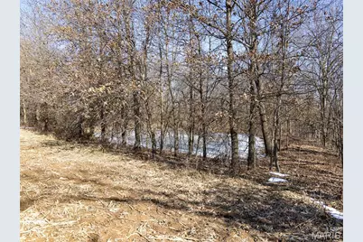 11175 Pike 41, Bowling Green, MO 63334 - Photo 57