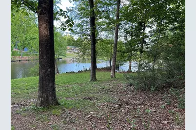 438 Little Dogwood Lake Road, Burfordville, MO 63739 - Photo 45