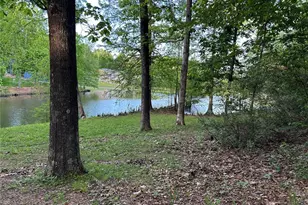 438 Little Dogwood Lake Rd, Burfordville, MO 63739 - Photo 45
