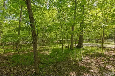 677 Whitetail Creek Drive, Innsbrook, MO 63390 - Photo 3