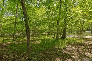 677 Whitetail Creek Dr, Innsbrook, MO 63390 - Photo 3