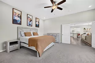 209 W Pne Crk Ct, Wentzville, MO 63385 - Photo 29