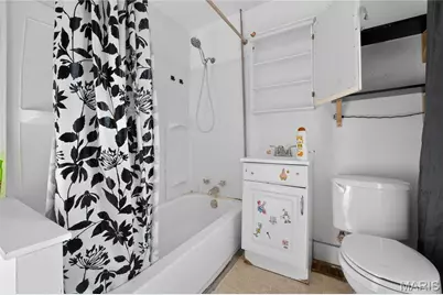 4172 Concordia Avenue, Saint Louis, MO 63116 - Photo 9