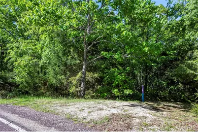 00 Highway Aa, Annapolis, MO 63620 - Photo 65