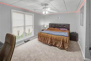 301 Co Rd 436, Jackson, MO 63755 - Photo 47