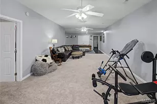 301 Co Rd 436, Jackson, MO 63755 - Photo 45