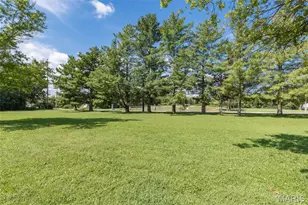 1005 Westgate Dr, Farmington, MO 63640 - Photo 41