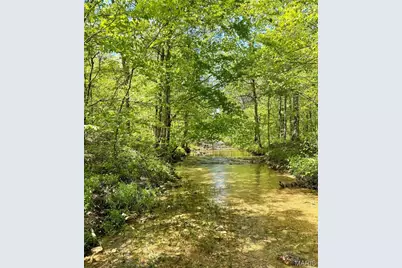 5 Furnace Creek Road, Potosi, MO 63664 - Photo 1