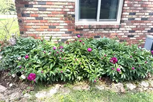 26541 Lake Shore Rd, Lebanon, MO 65536 - Photo 11